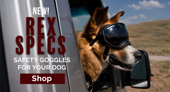 New Product - Rex Specs: Safety Googles for Your Dog