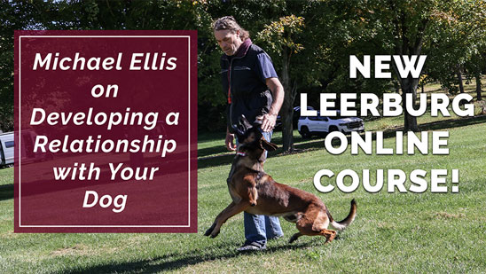 Video: New Online Course - Michael Ellis on Developing a Relationship with Your Dog