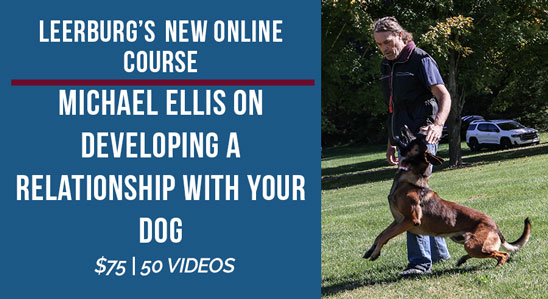 Michael Ellis on Developing a Relationship With Your Dog - Online Course
