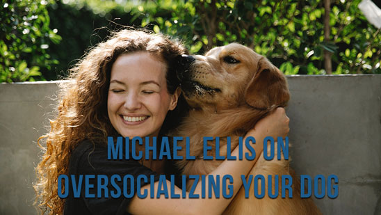 Video: Michael Ellis on Oversocializing Your Dog