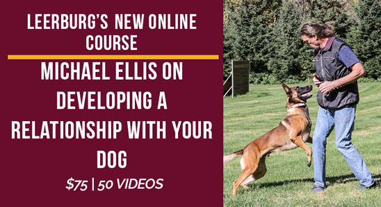 New Course - Michael Ellis on Developing a Relationship with Your Dog
