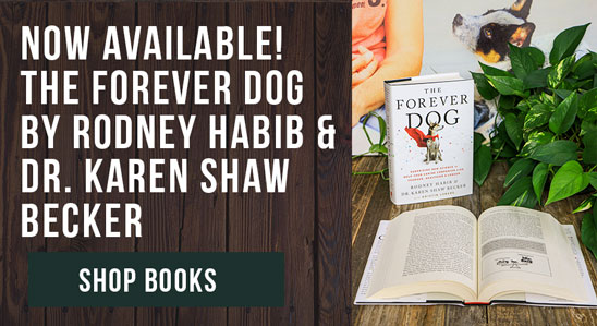 Now Available! The Forever Dog by Rodney Habib and Dr. Shaw Becker - Shop Books