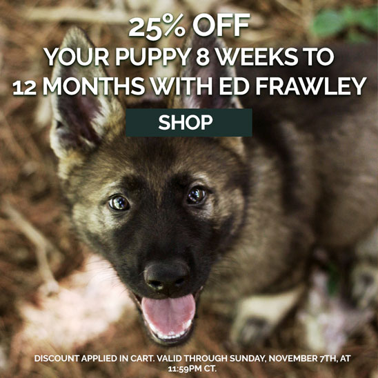 25% OFF Your Puppy 8 Weeks to 12 Months