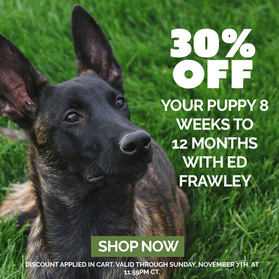 30% OFF Your Puppy 8 Weeks to 12 Months