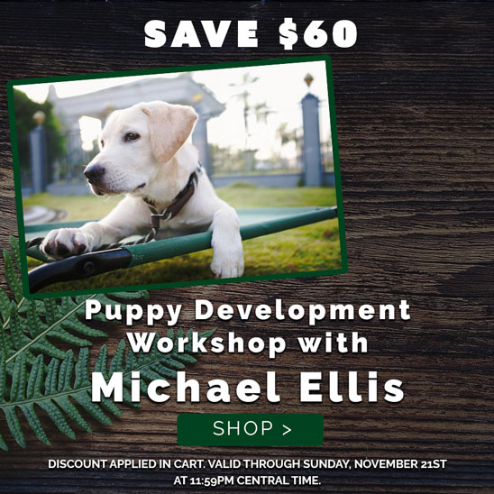  July 2019 Puppy Development Workshop with Michael Ellis