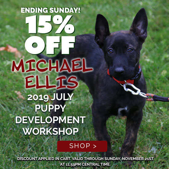 July 2019 Puppy Development Workshop with Michael Ellis