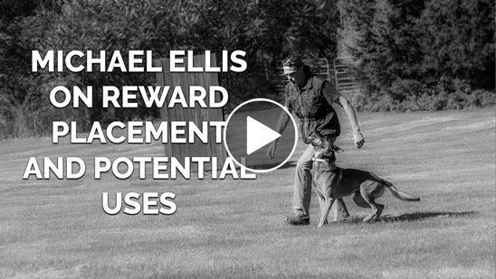 Video: Michael Ellis on Reward Placement and Potential Uses