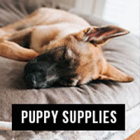 Puppy Supplies
