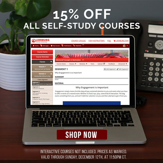 15% off all Self-Study Online Courses