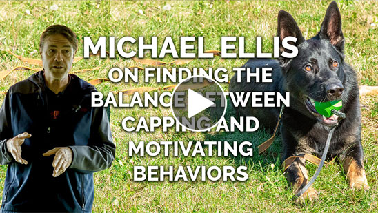 Video: Michael Ellis on Finding the Balance Between Capping and Motivating Behaviors