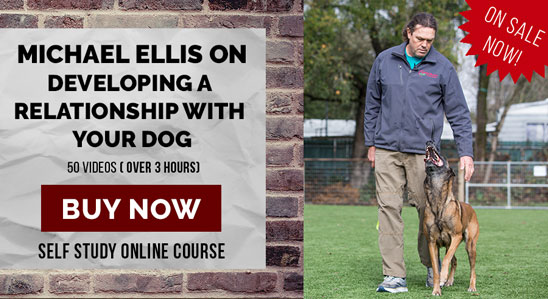 Michael Ellis on Developing a Relationship With Your Dog