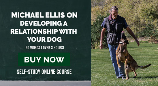 Michael Ellis on Developing a Relationship With Your Dog
