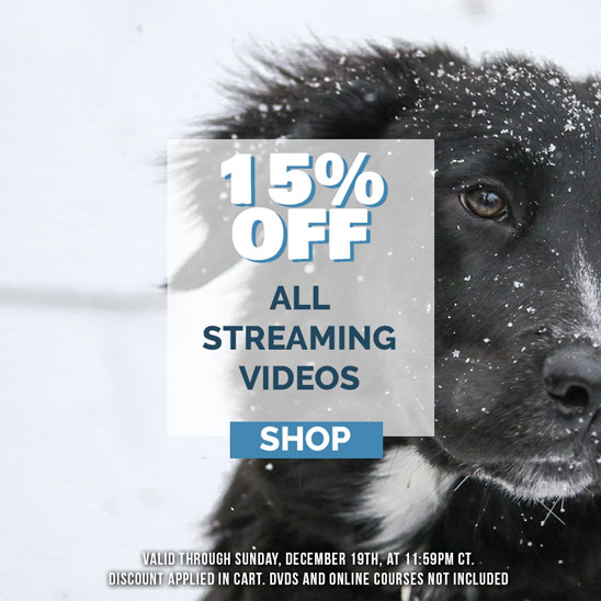 15% off all streaming videos.