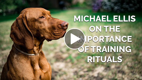 Video: Michael Ellis on The Importance of Training Rituals
