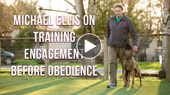 Video: Michael Ellis on Training Engagement Before Obedience