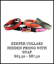 Keeper Collars Hidden Prong with Snap