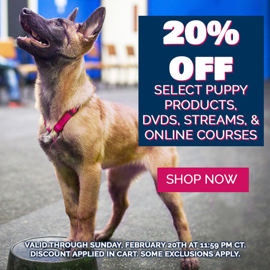 20% Off Select Puppy DVDs, Streams, &amp; Courses.