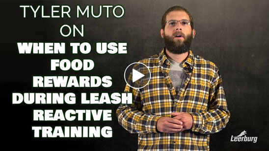 Video: Tyler Muto on When to Use Food Rewards During Leash Reactive Training