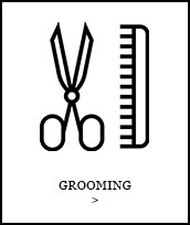 Grooming