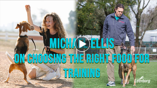Video: Michael Ellis&nbsp;on Choosing the Right Food for Training