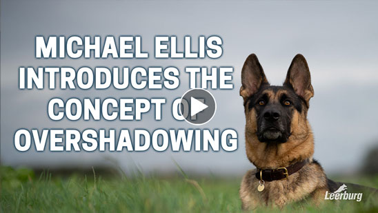 Video: Michael Ellis Introduces The Concept of Overshadowing