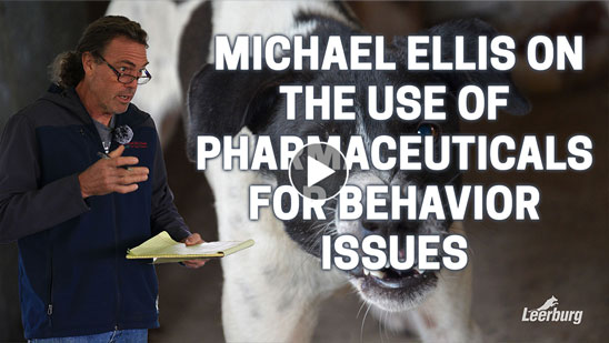 Video: Michael Ellis on The Use of Pharmaceuticals for Behavior Issues