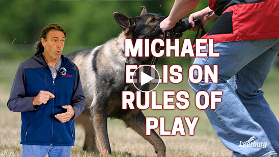 Video: Michael Ellis on Rules of Play