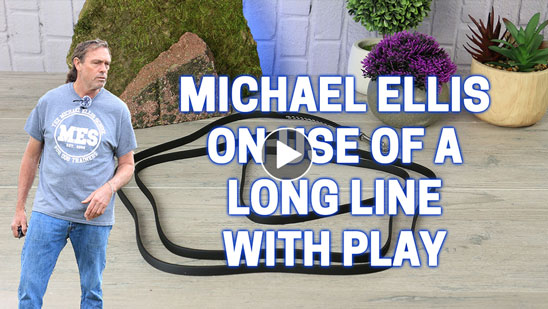 Video: Michael Ellis on Use of a Long Line with Play