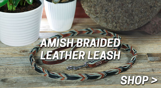 New! Braided Amish Leather Leash