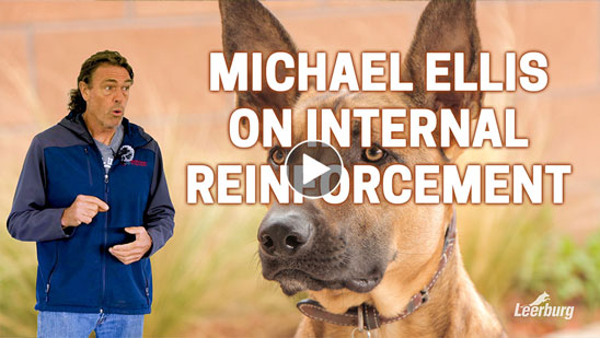 Video: Michael Ellis on Internal Reinforcement