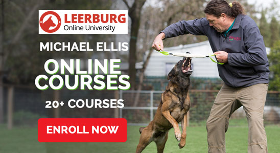 Michael Ellis Online Courses
