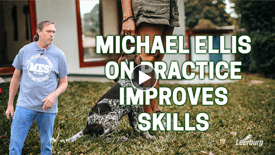 Video: Michael Ellis on Practice Improves Skills