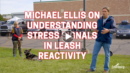 Video: Michael Ellis on Understanding Stress Signals in Leash Reactivity