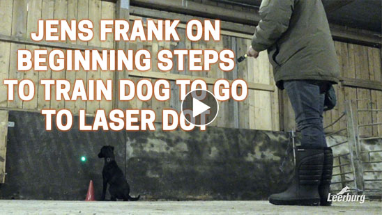 Video: Jens Frank on Beginning Steps to Train Dog to Go to Laser Dot