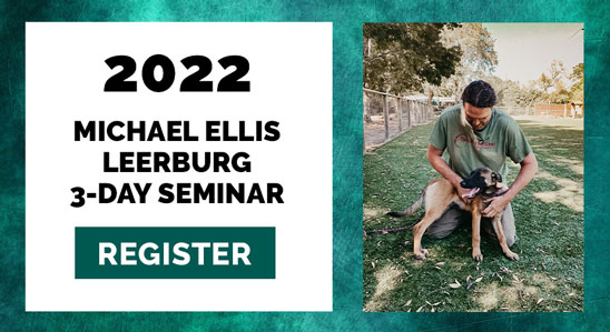 Ellis 3-day Seminar 2022