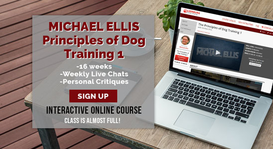 Principles of Dog Training 1 Interactive Course