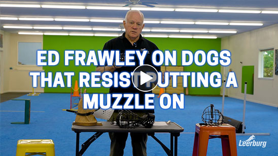 Video:Ed Frawley on Dogs That Resist Putting a Muzzle On