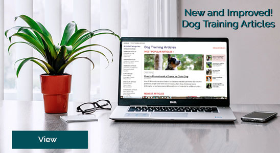 New and Improved Dog Training Articles