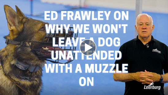 Video:Ed Frawley on Why We Won't Leave a Dog Unattended With a Muzzle On