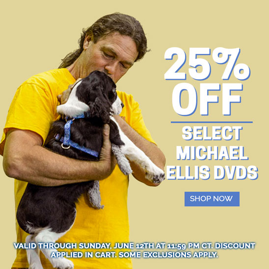 25% OFF SELECT ELLIS DVDS