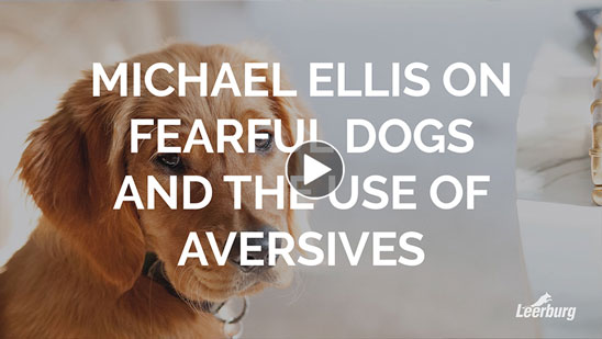 Video:Michael Ellis on Fearful Dogs and The Use of Aversives