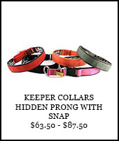 Keeper Collar Hidden Prong with Snap