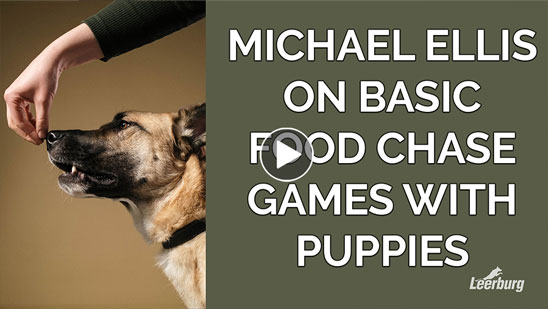 Video: Michael Ellis on Basic Food Chase Games with Puppies
