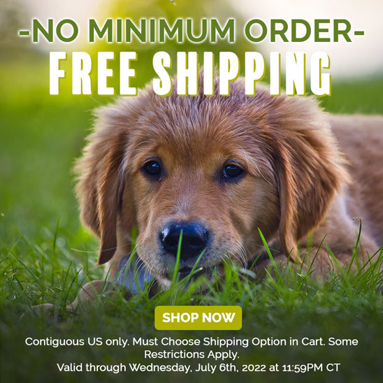 Free Shipping Ends Tomorrow