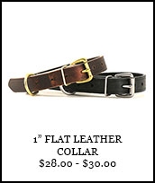 1in Flat Leather Collar