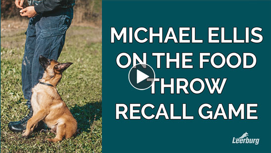 Video:Michael Ellis on Socialization Doesn't End At Puppyhood