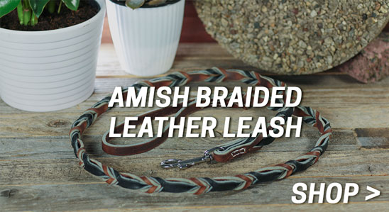 Amish Braided Leather Leash