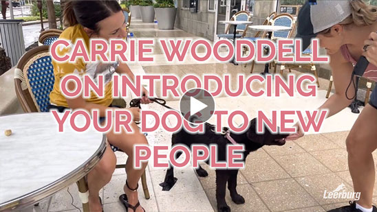 Video:Carrie Wooddell on Introducing Your Dog to New People