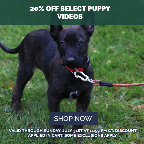 20% OFF on Select Puppy Training DVDs, streams, and Online Courses