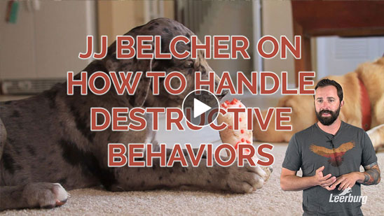 Video:JJ Belcher on How to Handle Destructive Behaviors